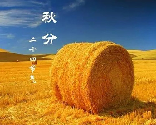 秋分 | 秋色灑滿大地，滿目秋意為伴